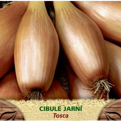 Cibule j.žl.TOSCA