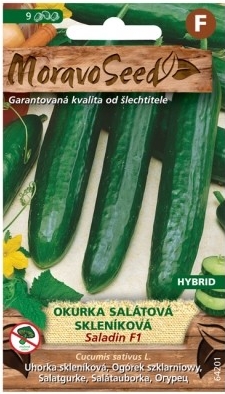 Okurka sal.SALADIN F1/skl/