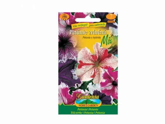 Petunia h/pet.Zvlň/sm
