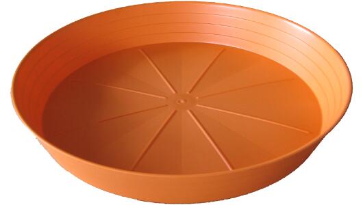 Miska Primavera 20 orange